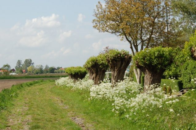 Boeren, burgers en buitenlui slaan handen ineen: PUUR uit Altena