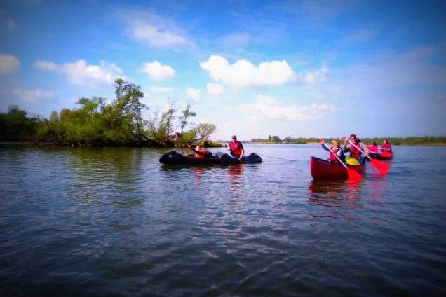 Kano survival in Brabantse Biesbosch