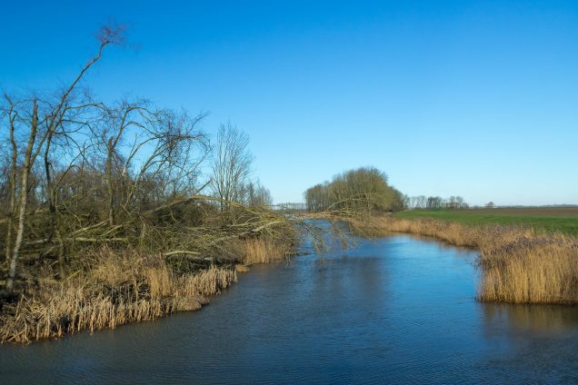 Betalen in de Biesbosch roept vragen op