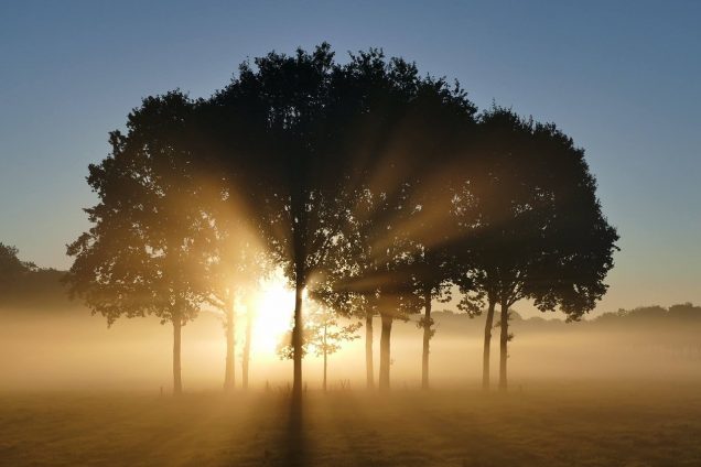 Dauwlopen op Hemelvaartsdag