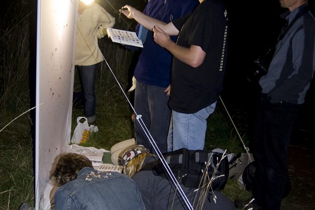 Nationale nachtvlindernacht op langste dag van het jaar