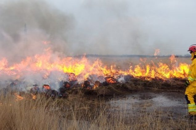 Brandweer waakzaam door aanhoudende droogte