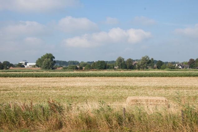 Progressief Altena: “Hitte… stress? Is de gemeente wel voorbereid?”