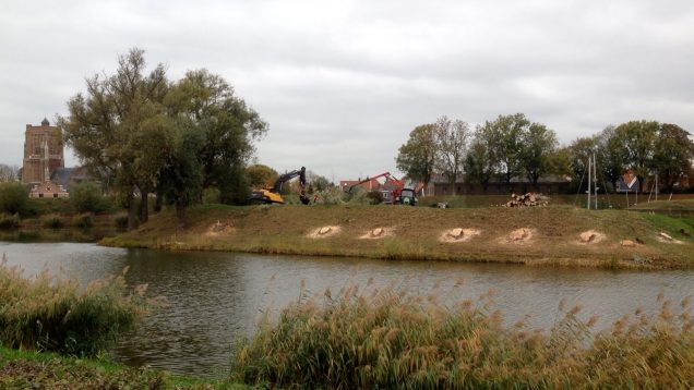 Zieke bomen gekapt op Ravelijn in Woudrichem