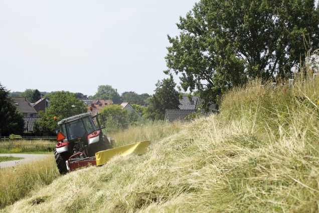 Record op de dijk: 675 hectare voor gras en schapen