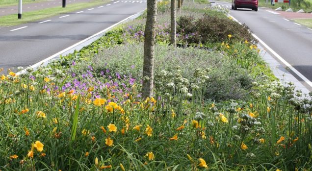 Gemeente Werkendam gaat groen vervangen