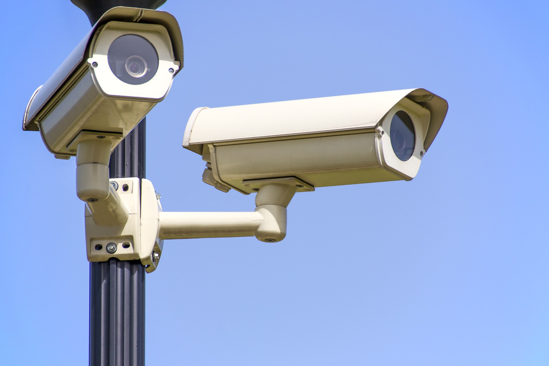 Geen proef met cameratoezicht in de Biesbosch