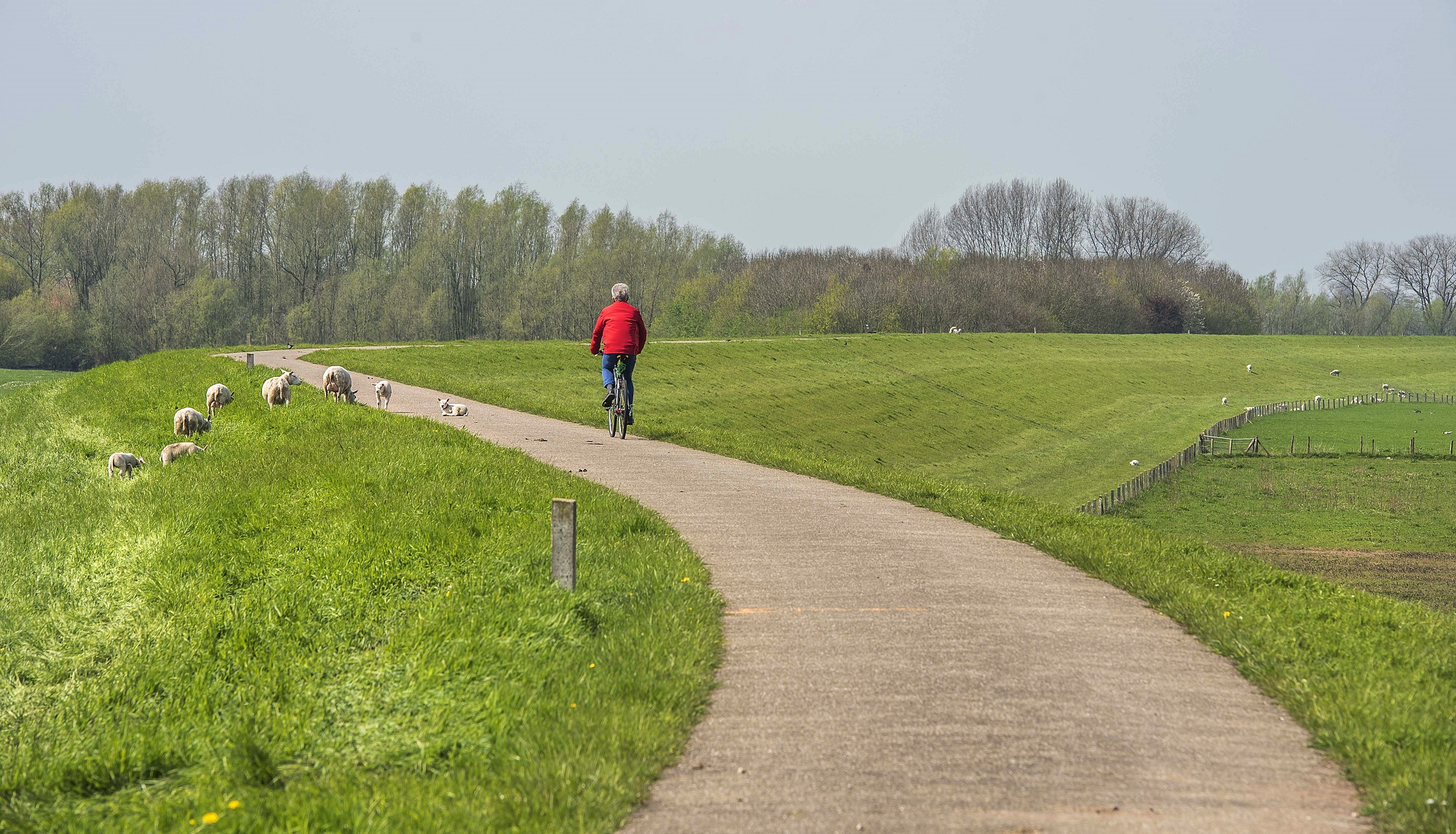 Waterschap inspecteert rivierdijken na winter