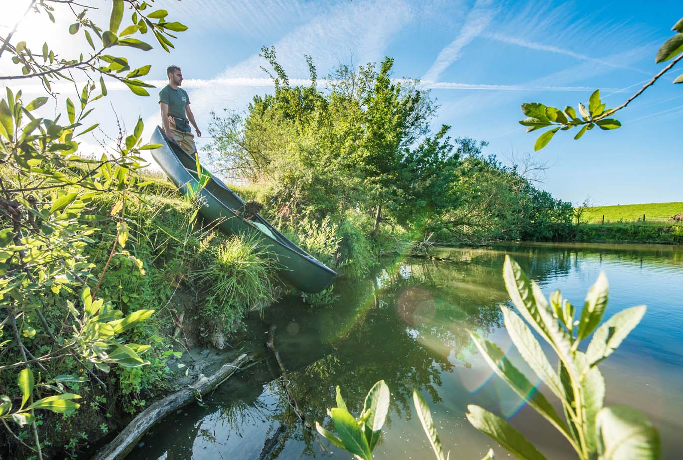 Daling zet door in vangst muskusratten voor veilige dijken