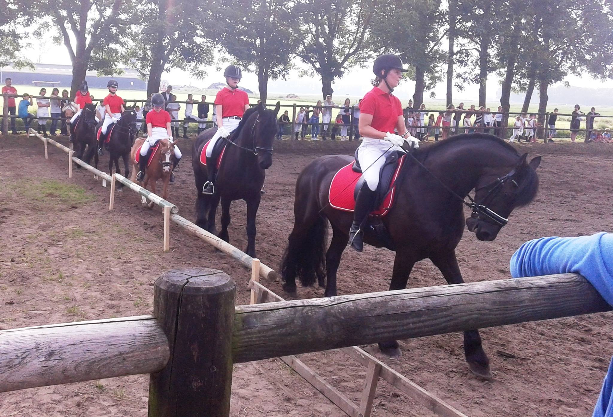 Dressuur en vaardigheidswedstrijden op Manege Pompveld