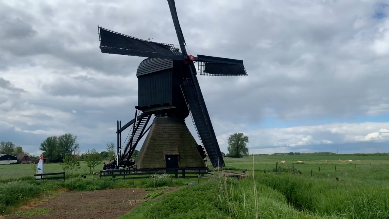 Nationale Molendag Zandwijkse Molen