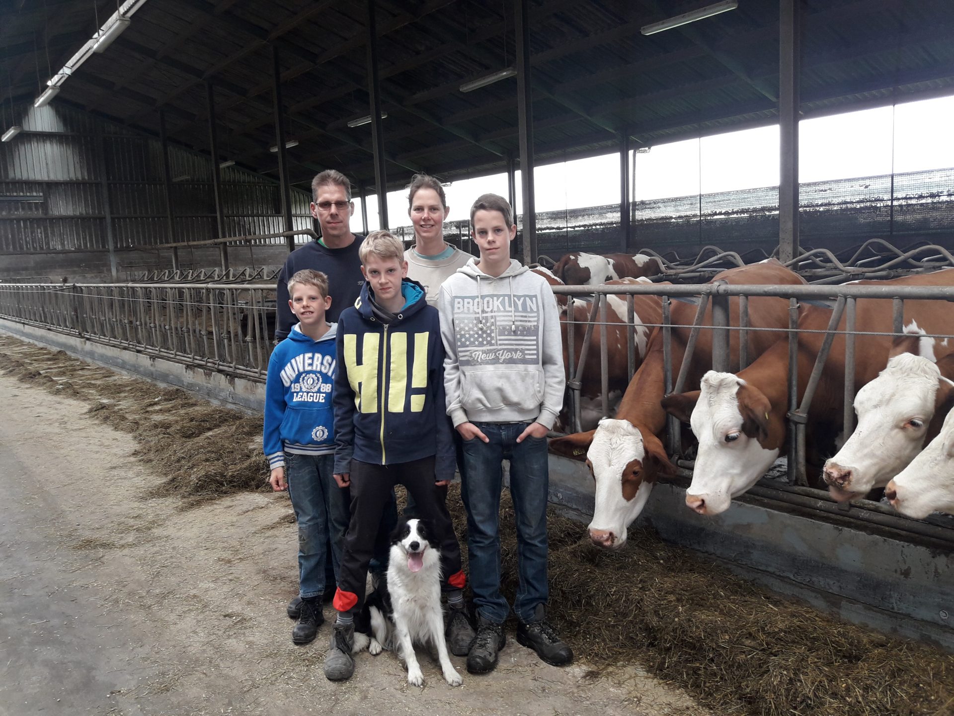 Boerenerfdag 2019 bij Melkveehouderij Hank