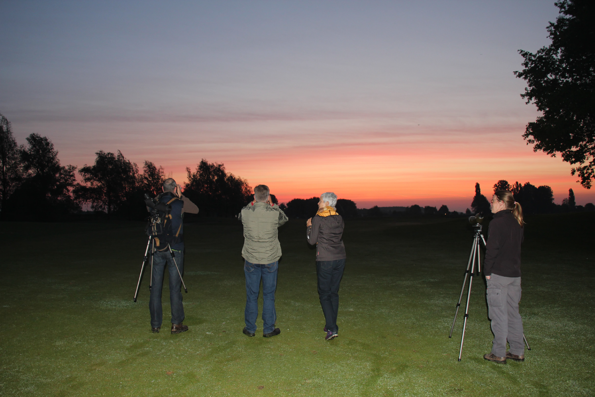 Vogels tellen tijdens de 20e Bird Watching Day