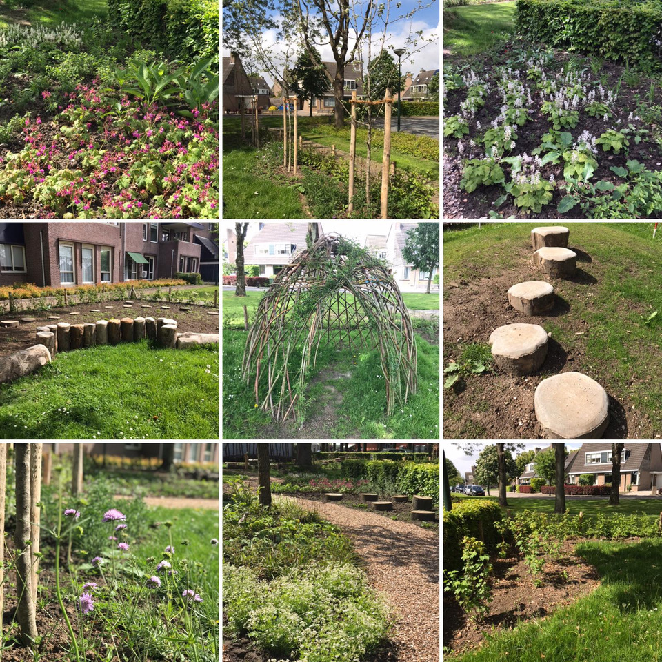 Picknick en opening natuurtuin bij De Werf in Woudrichem