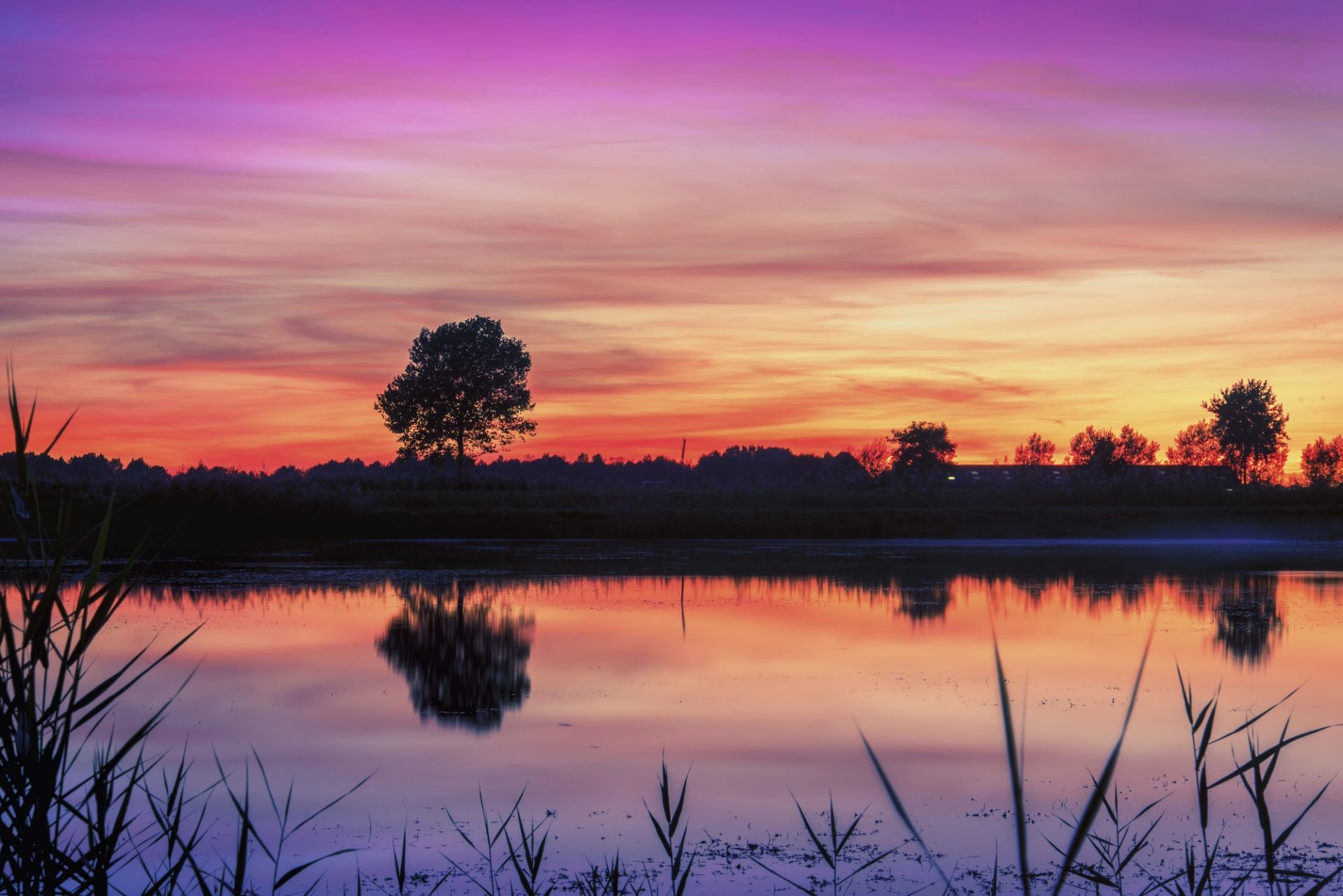 Stevige natte natuur in het hart van Altena