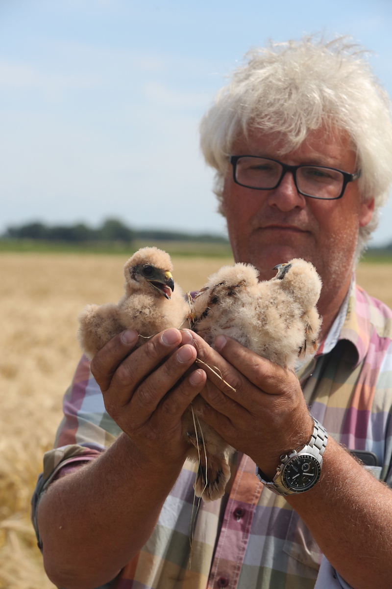 Altenatuur organiseert een duo-lezing over ‘de man op de dijk’