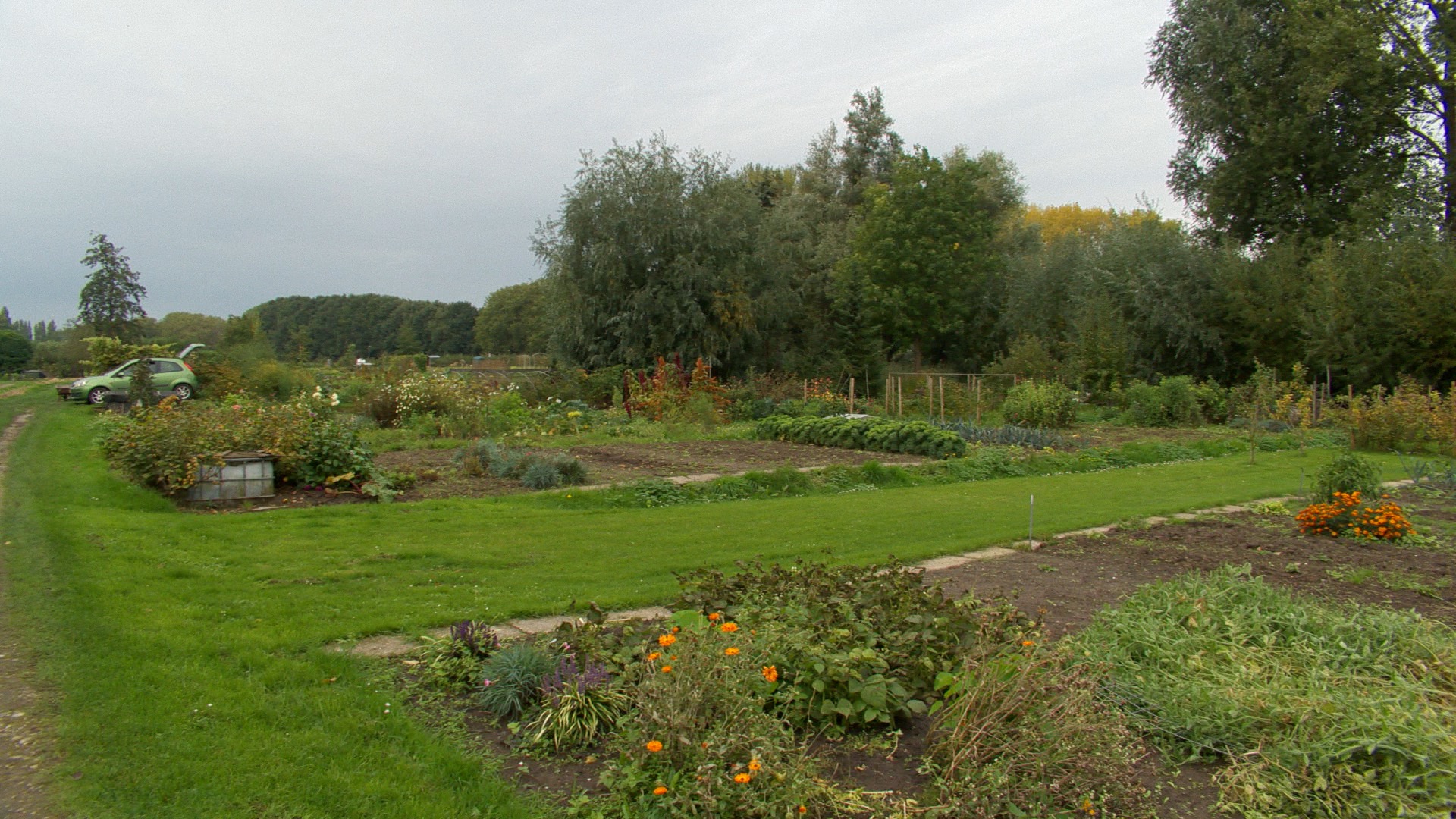 Gemeente bekijkt natuurcompensatie op volkstuinencomplex