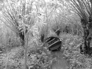 Tentoonstelling ‘Biesbosch 75 jaar bevrijd’ in de startblokken