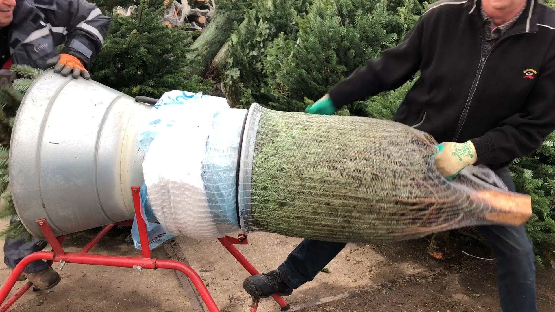 Het is weer tijd voor de kerstboom