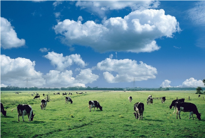 Debatavond Landschap en Landbouw op de Campus