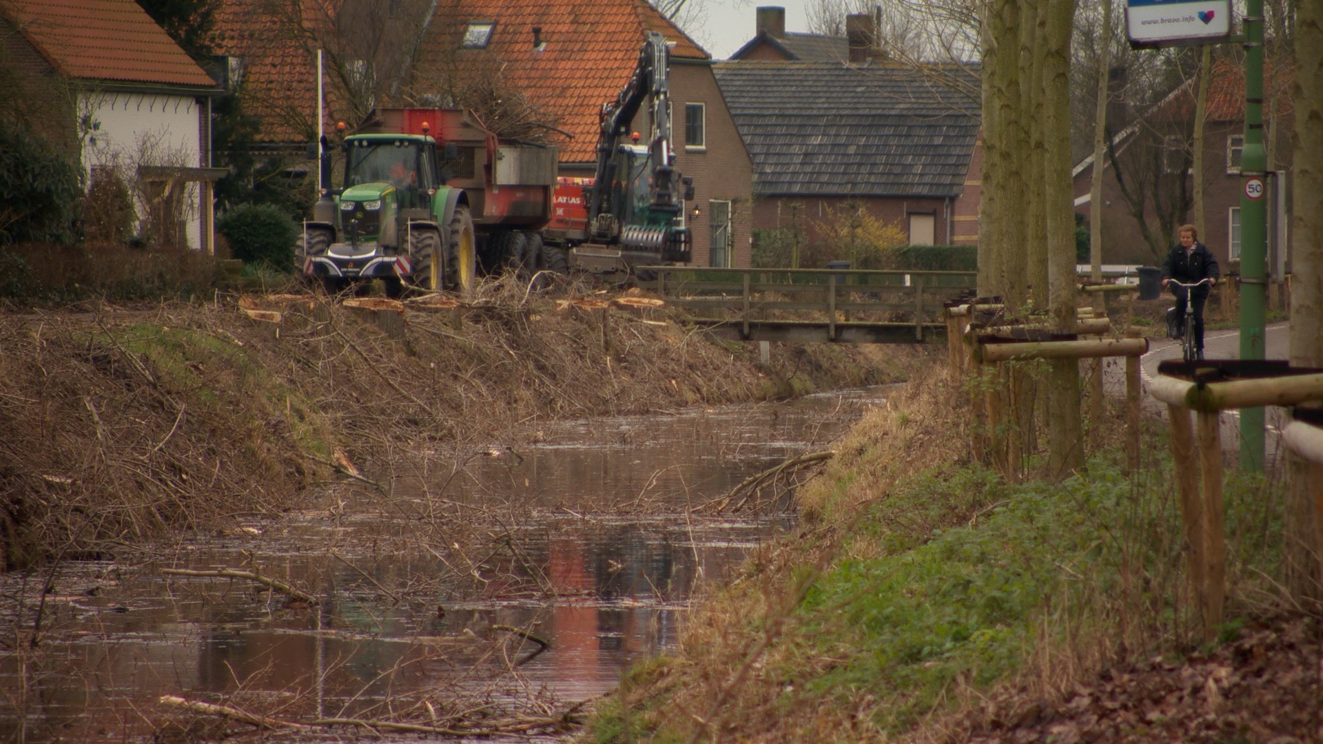 Gemeente kapt bijna 500 bomen in eerste kwartaal 2020