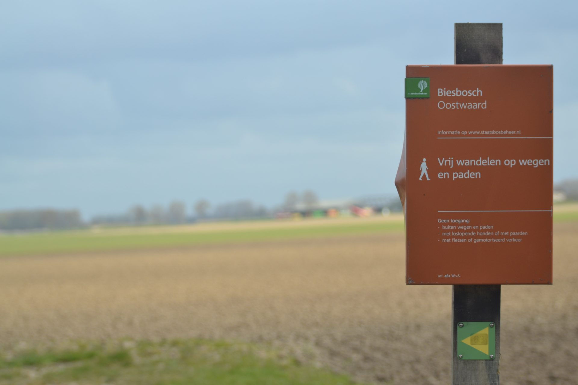 Inspirerende wandeling in de Biesbosch door Vrouw&Altena