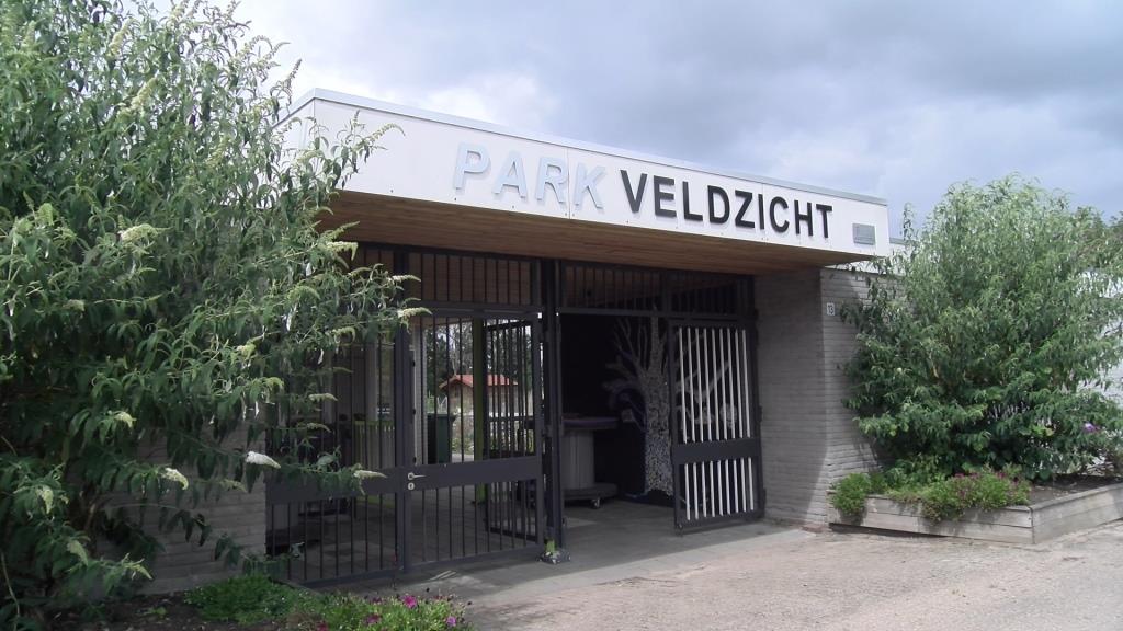 Rommelmarkt en Braderie op park Veldzicht