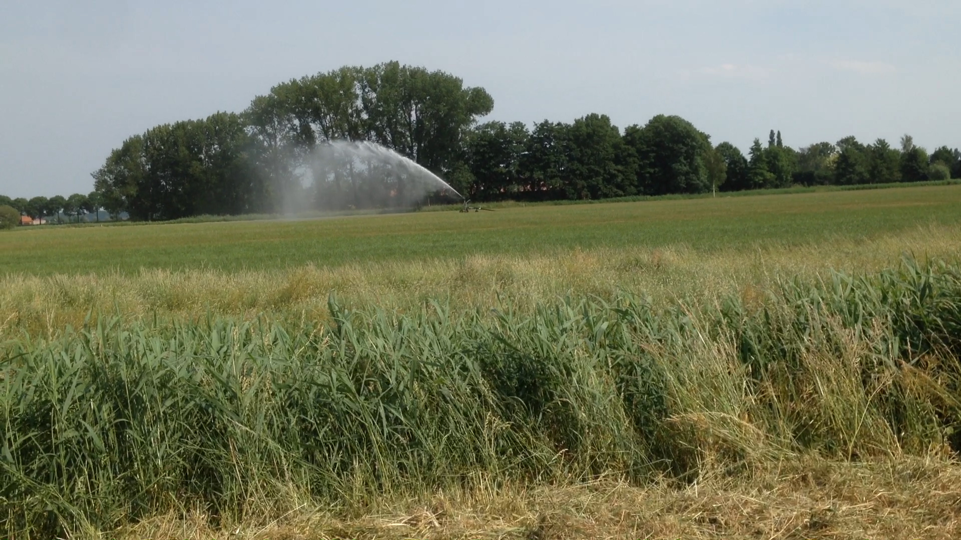 Waterschap neemt maatregelen tegen droogte