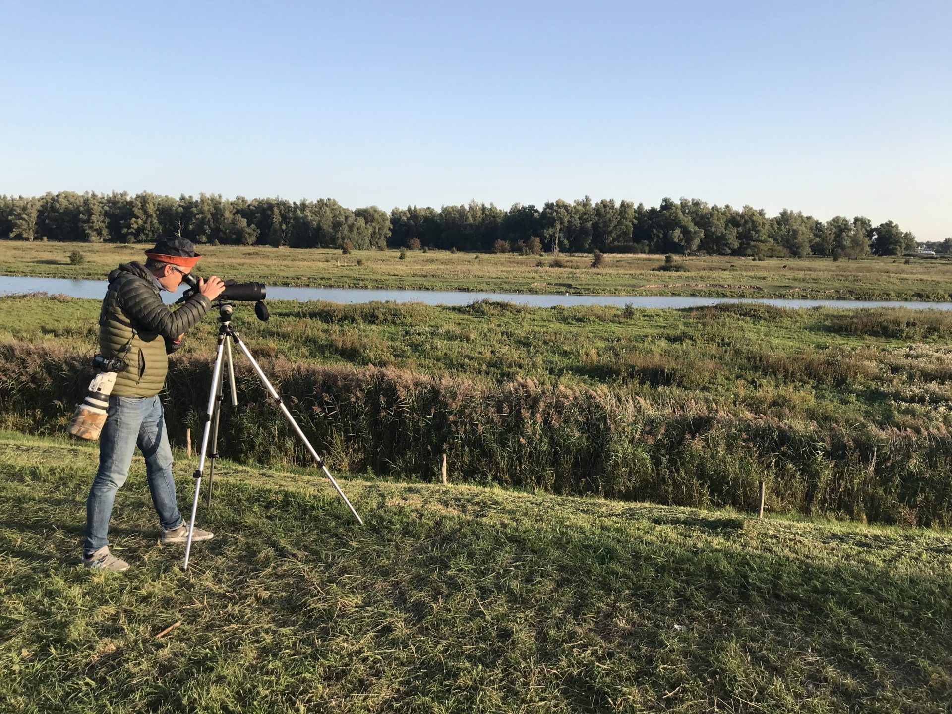 Beleef de Vogeltrek op de Groesplaat bij Woudrichem