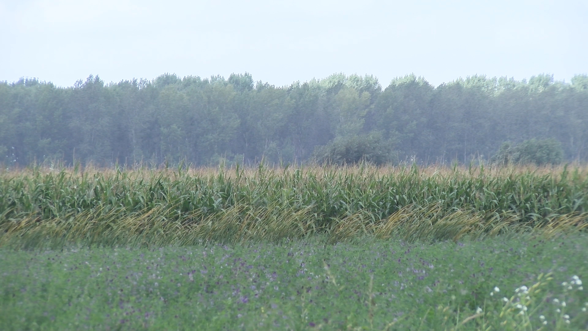 Circulaire landbouw in Altena staat provinciaal op de kaart