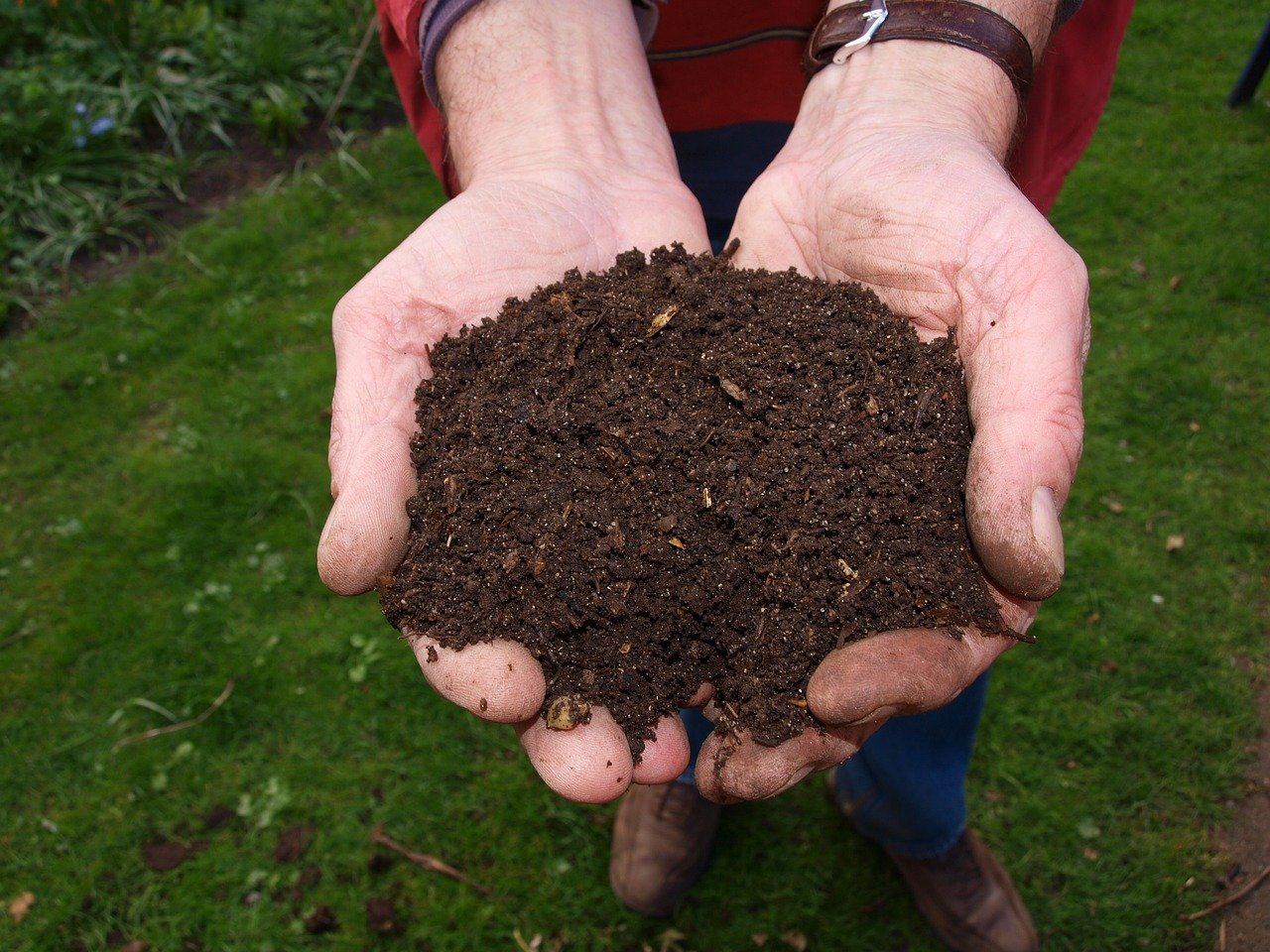 Gratis compost afhalen op 6 november