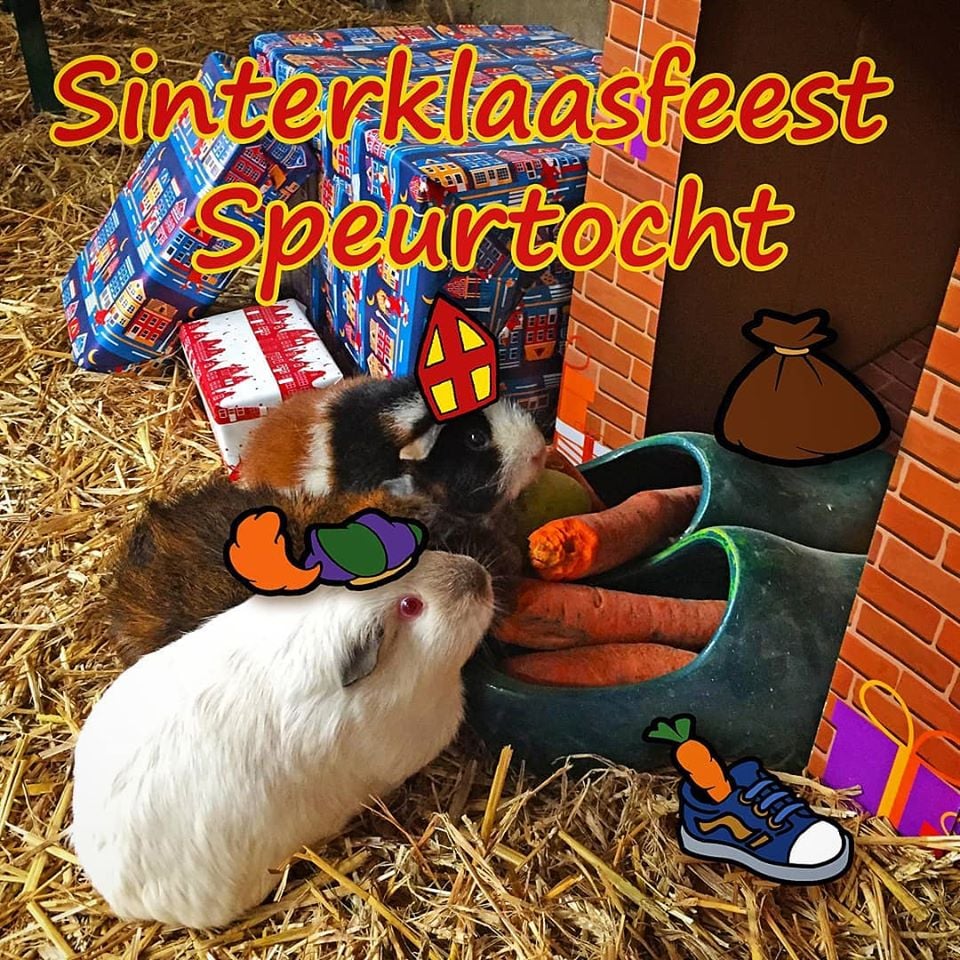 Pepernoten speurtocht actie als alternatieve Sinterklaas intocht