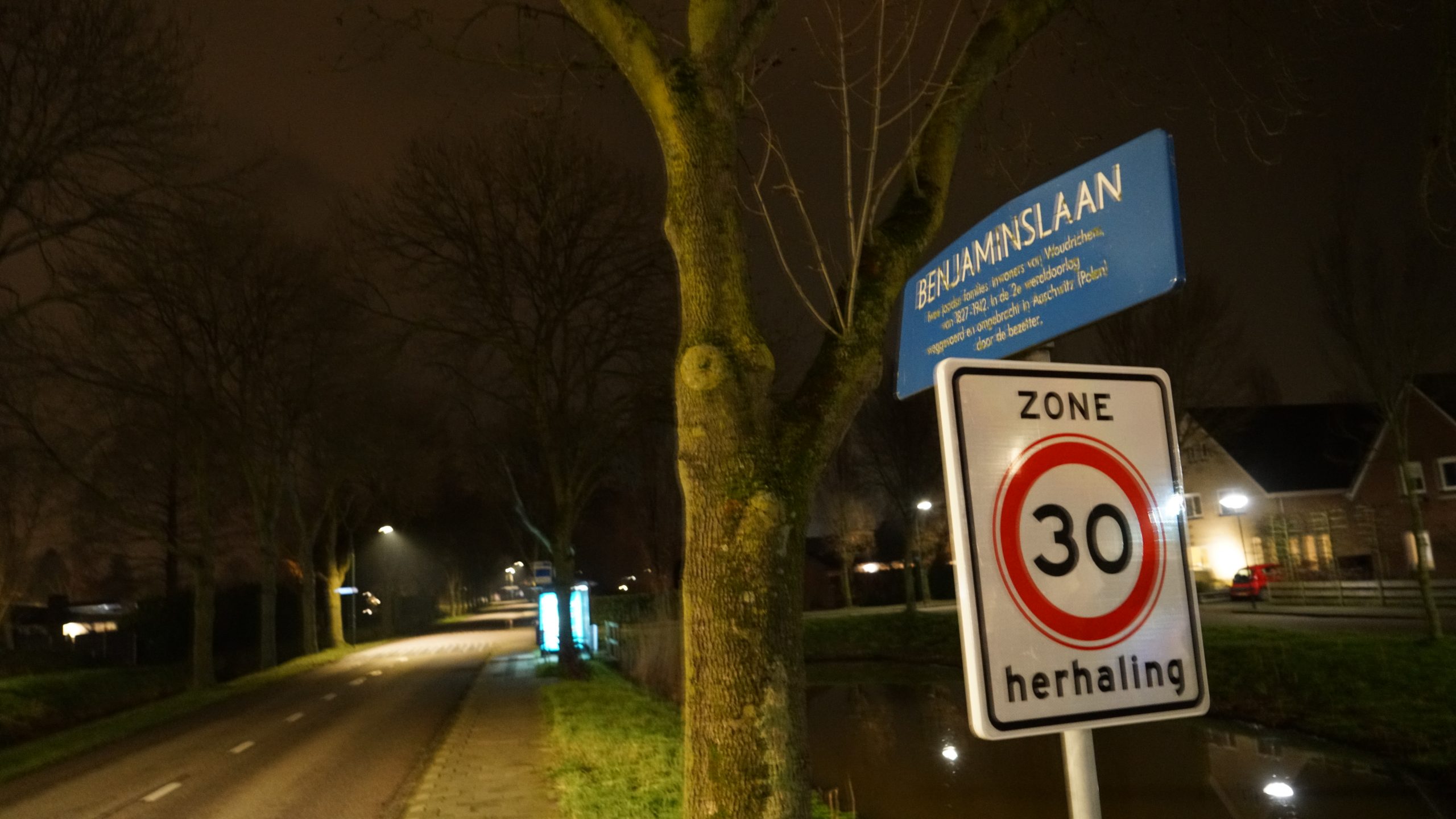 Demonstranten met fakkels trekken door Woudrichem