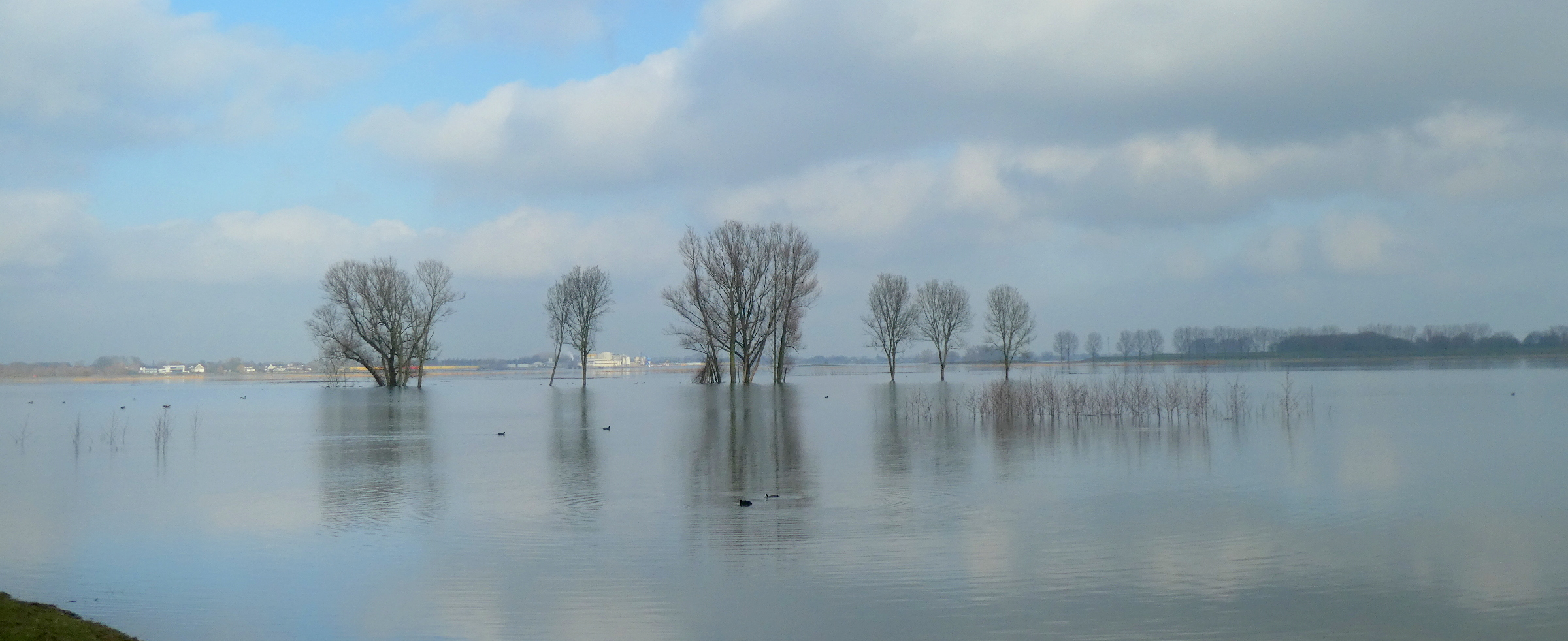 Hoogwater update vrijdag 5 februari