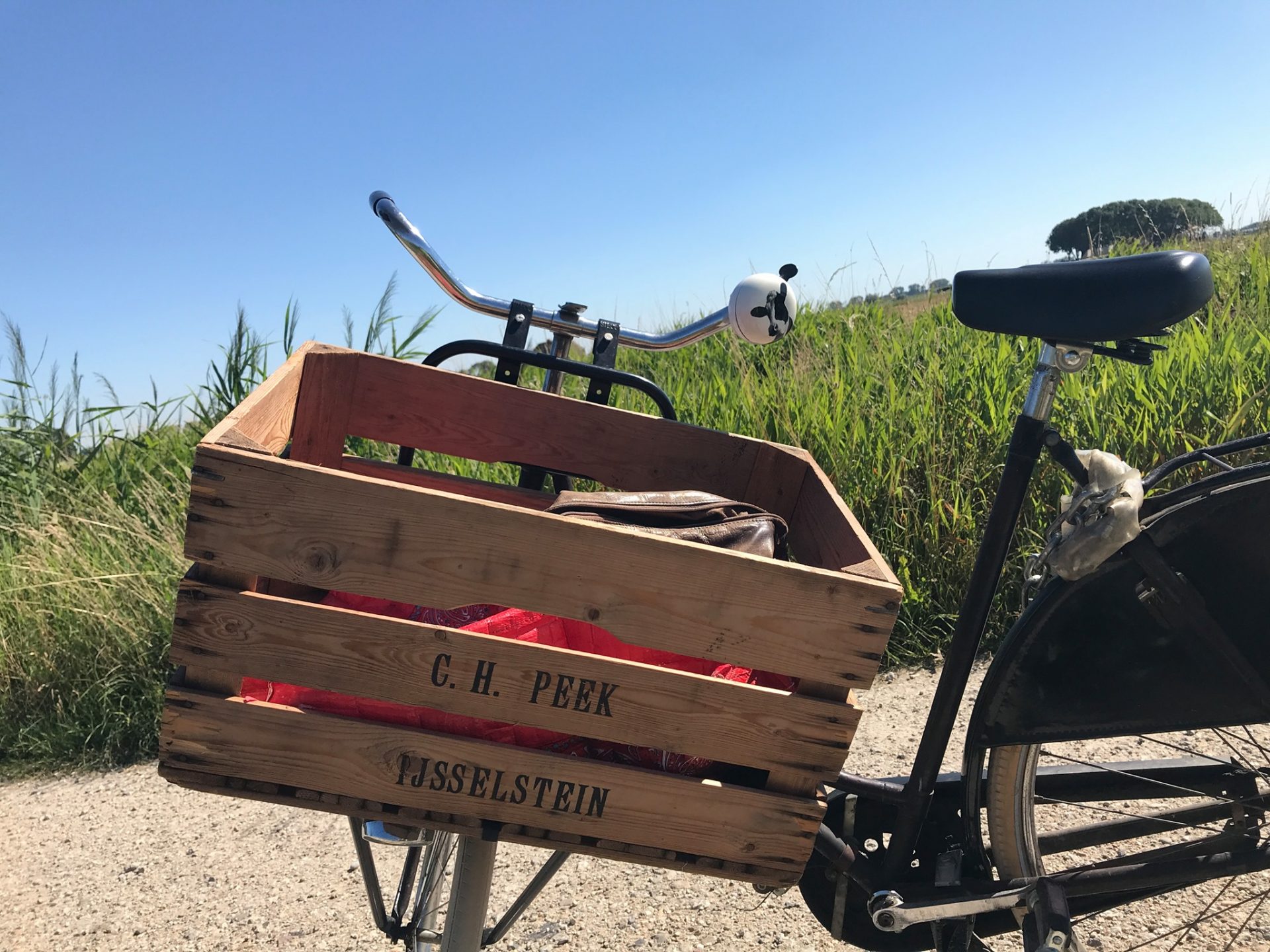 MaxVitaal Fietsen voor mijn Eten in Altena