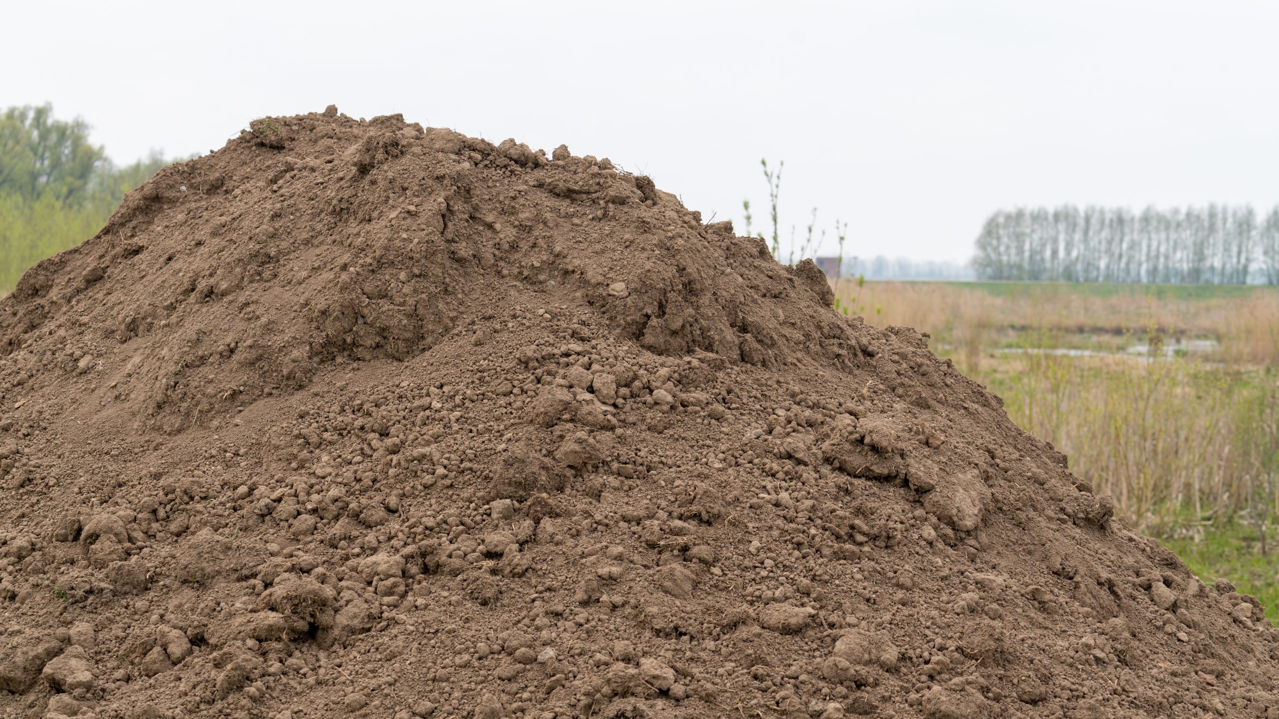 Zandtransport project Nieuwe Dordtse Biesbosch stilgelegd