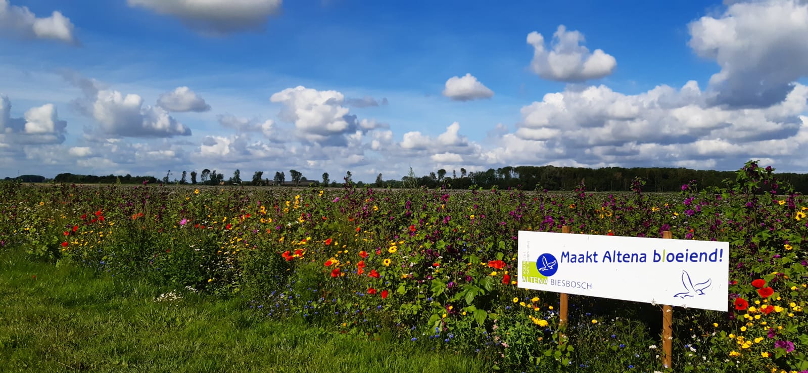 Agrarische Natuurvereniging Altena-Biesbosch deelde flink wat bloemzaadmengsel uit