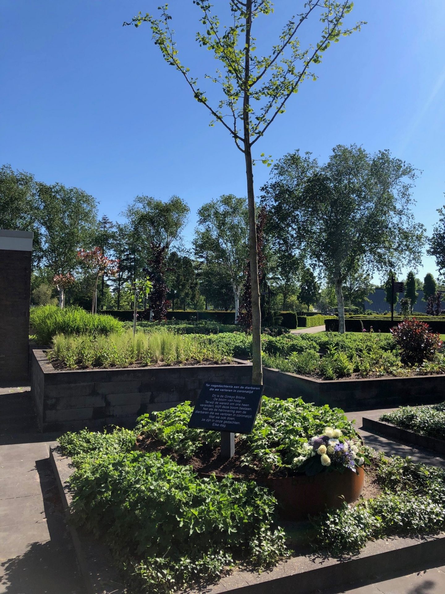 Planten Bomen van Hoop door wethouders