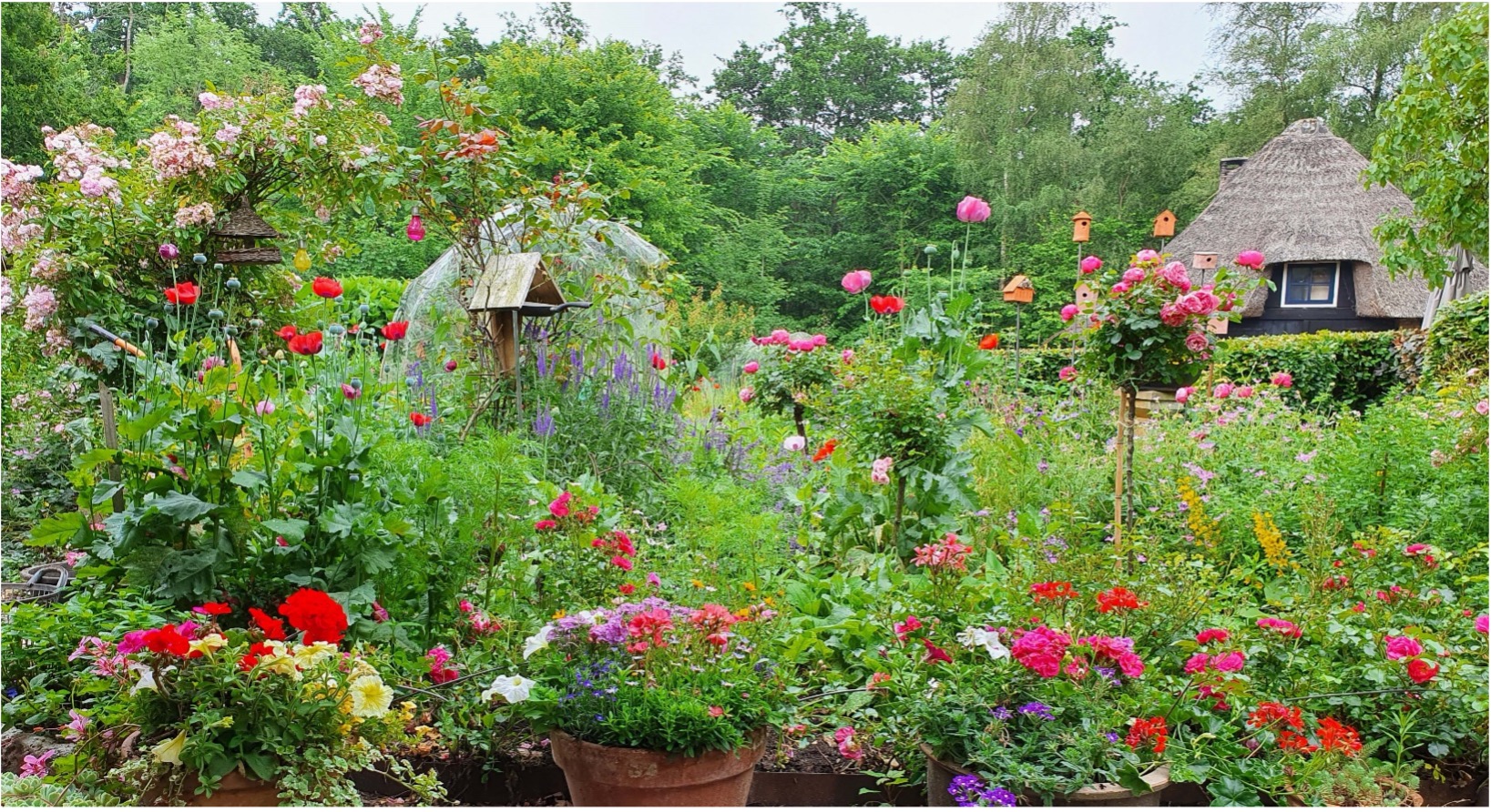 Zo maakt u uw tuin klimaatbestendig