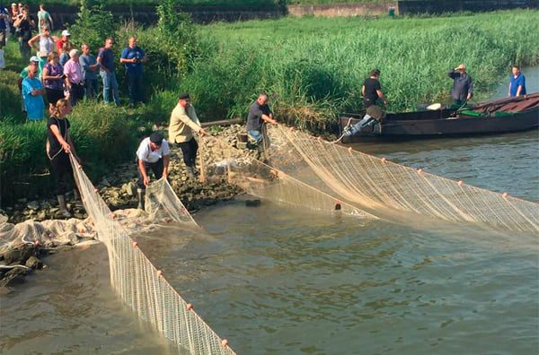 Visserijdag in Woudrichem kan door gaan