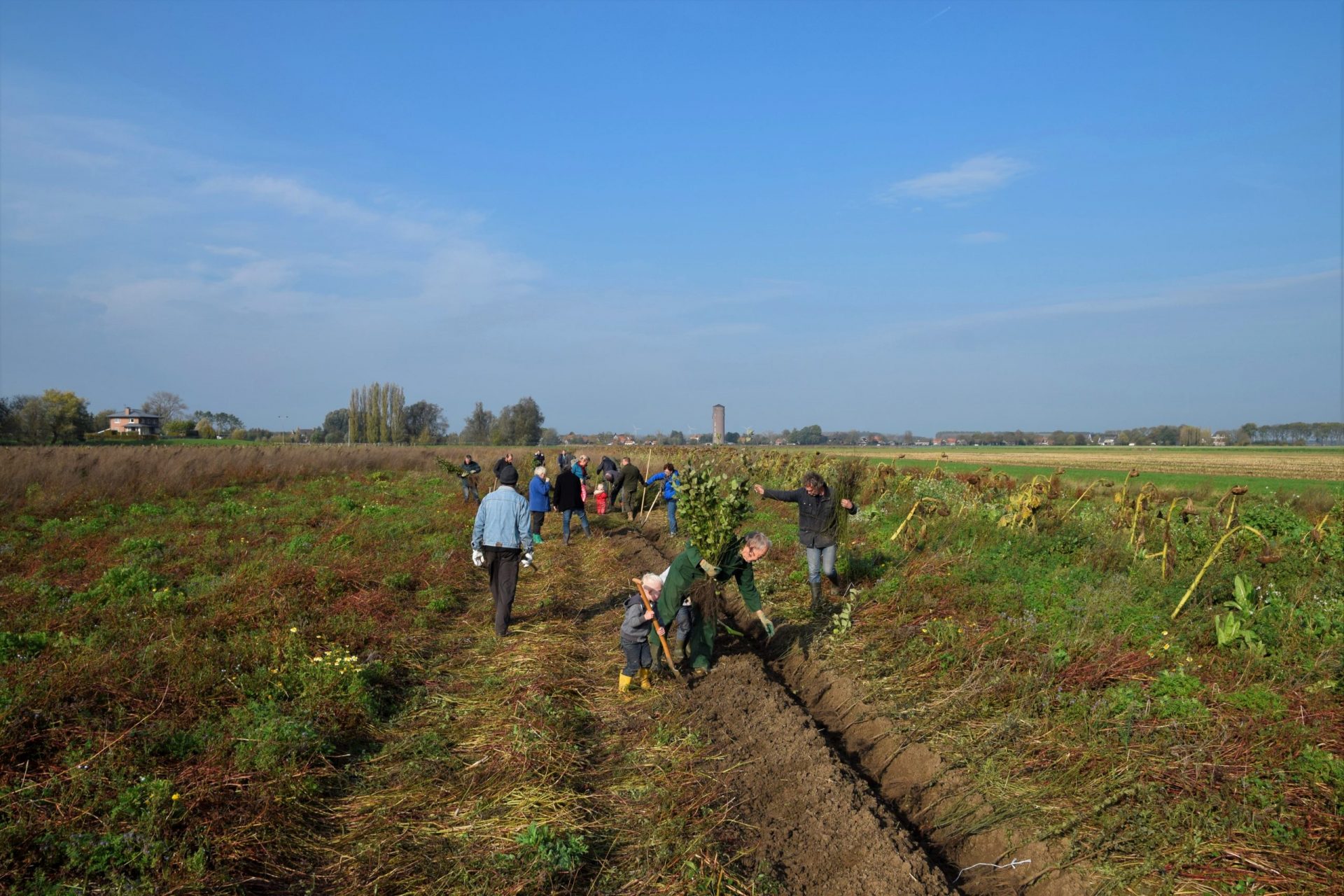 Landelijke Natuurwerkdag op 4 november: Altenatuur zoekt vrijwilligers