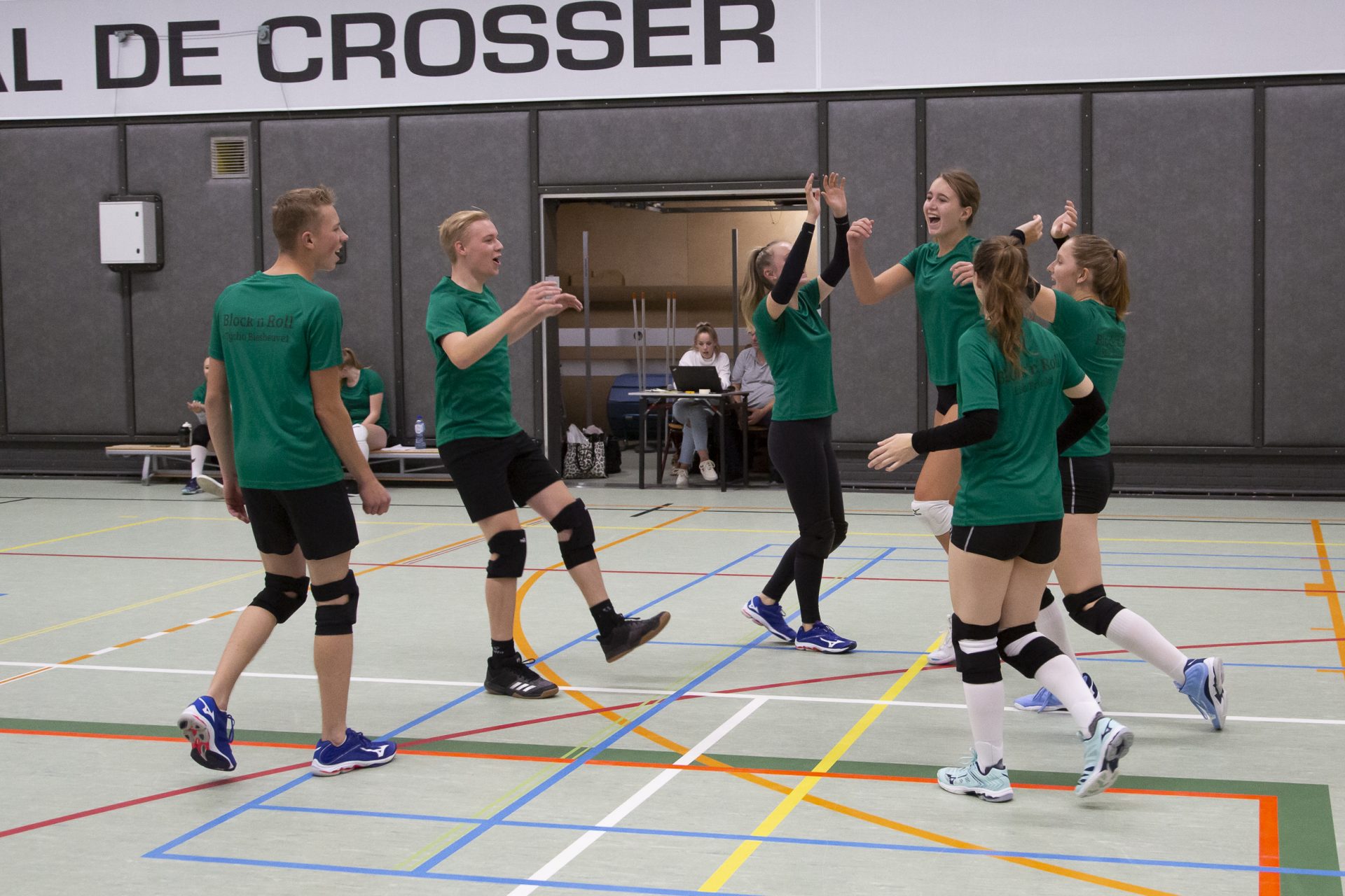 Vrienden volleyballen binnen