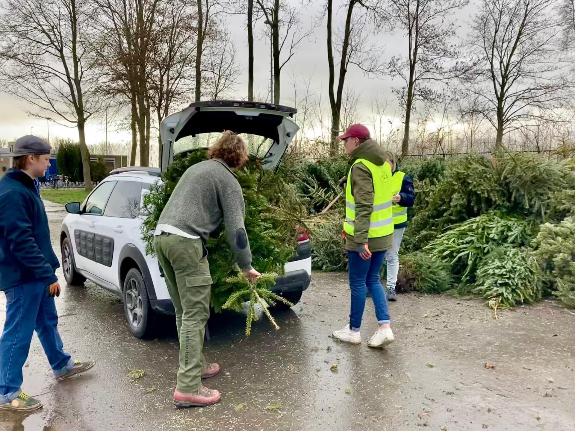 Inzamelactie kerstbomen succesvol verlopen