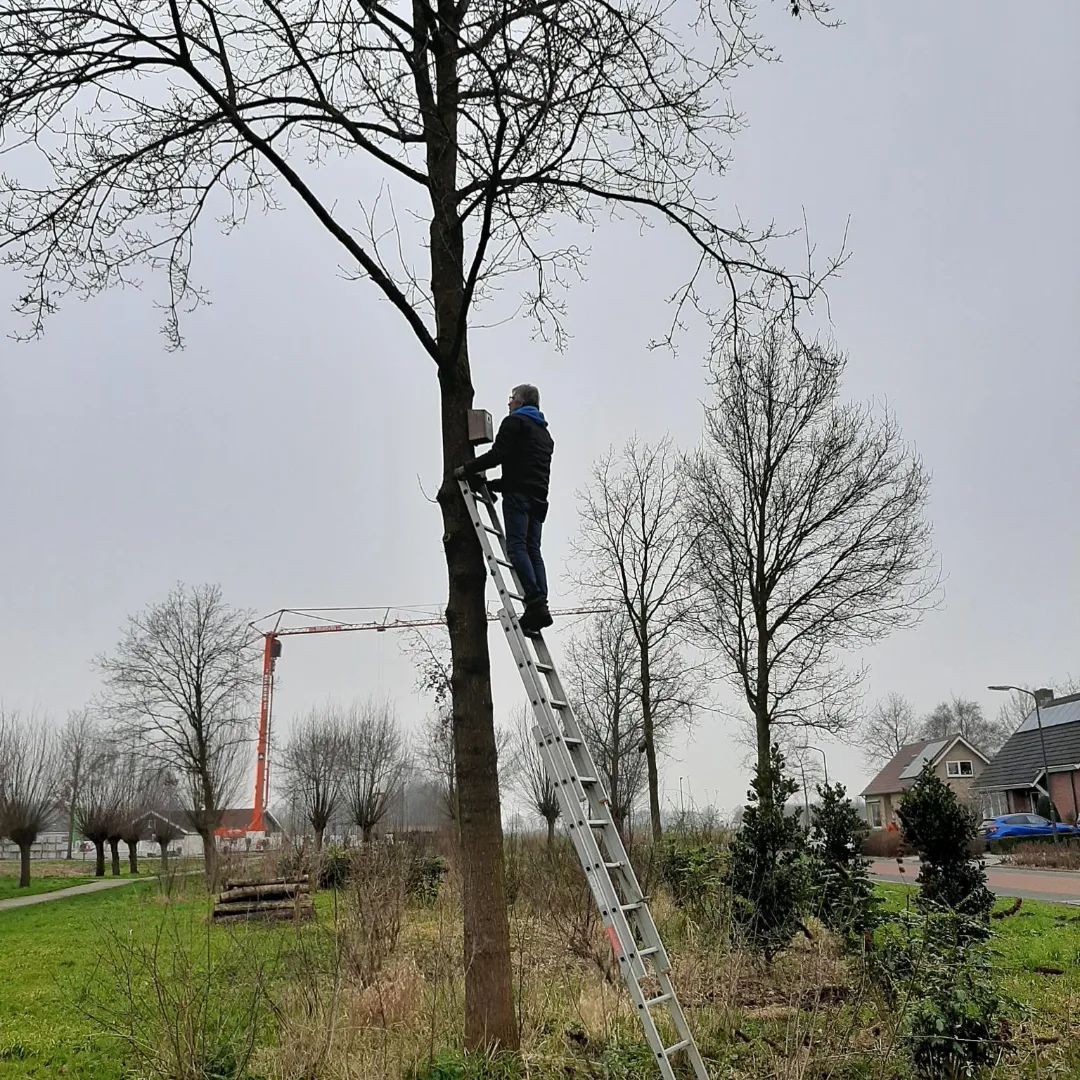 Nestkasten Sleeuwijk wederom een groot succes