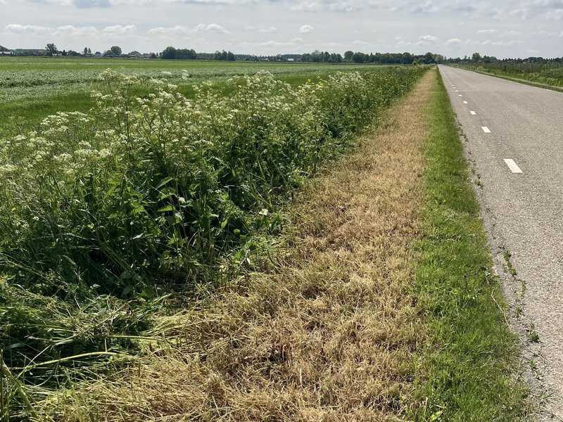 Gemeente maait bermen buitengebied ecologisch