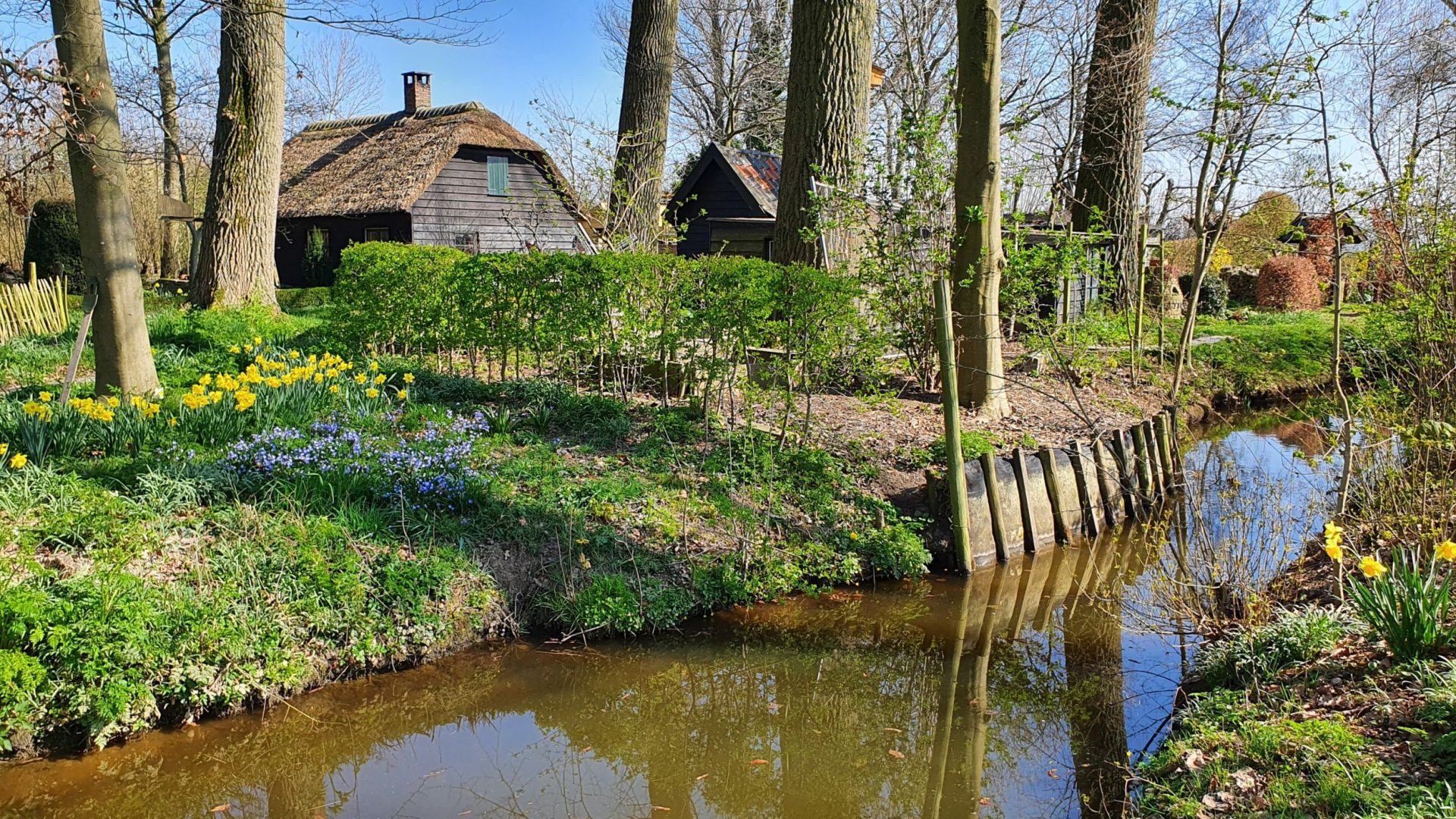 Jongerenwerk Altena organiseert gratis filmmiddag in het Duyls bos voor kinderen vanaf 6 jaar