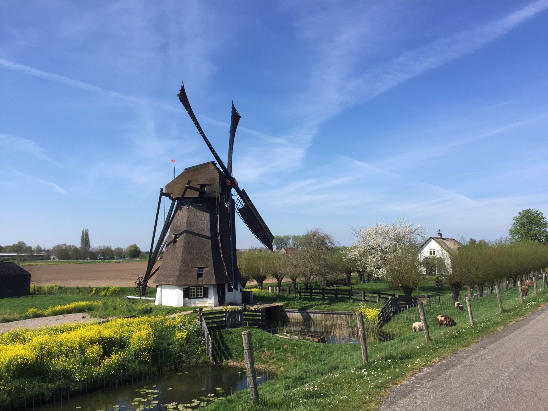 Kom naar de molen tijdens Nationale Molendagen