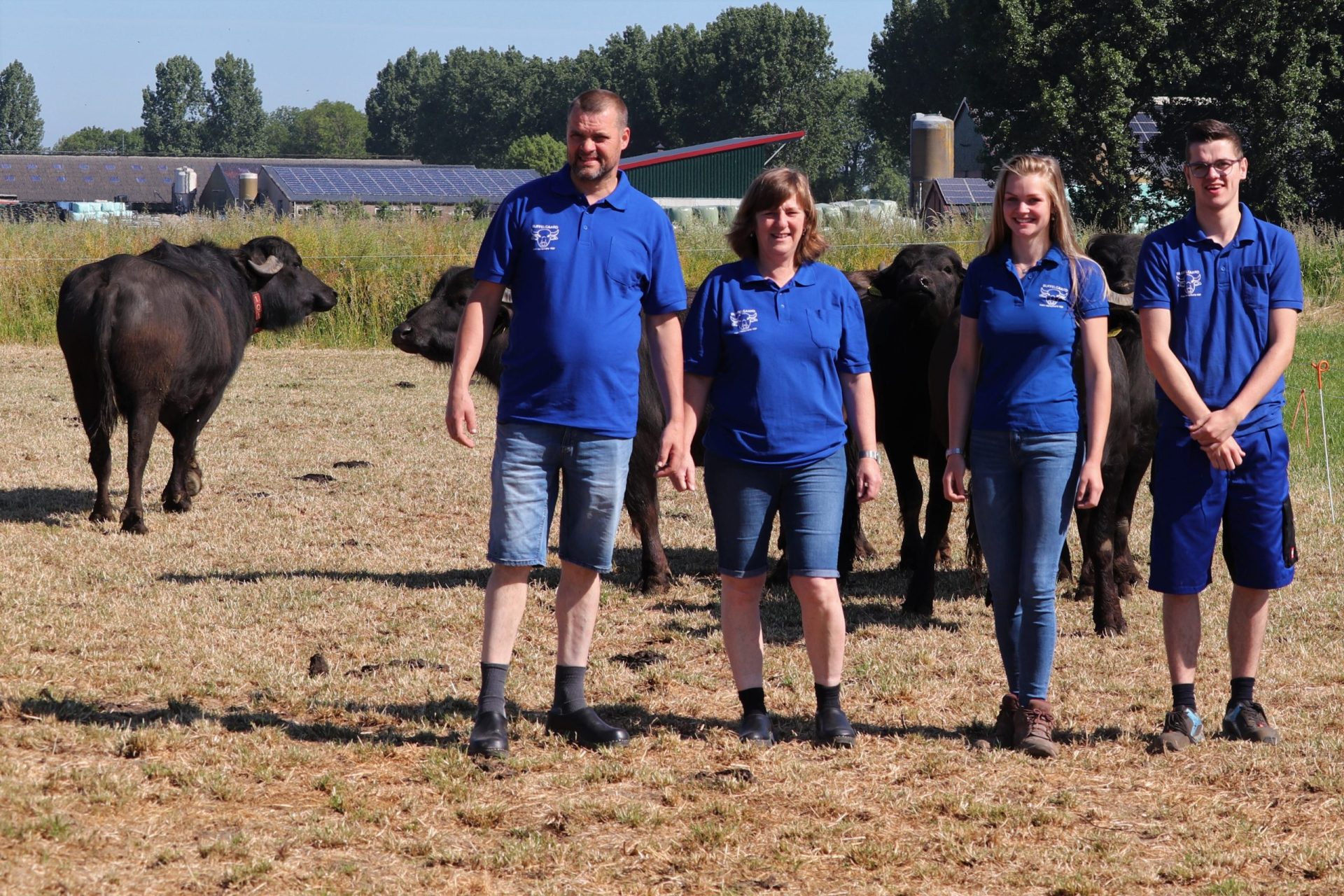 Boerenerfdag in Wijk en Aalburg bij Buffelgaard Verschure