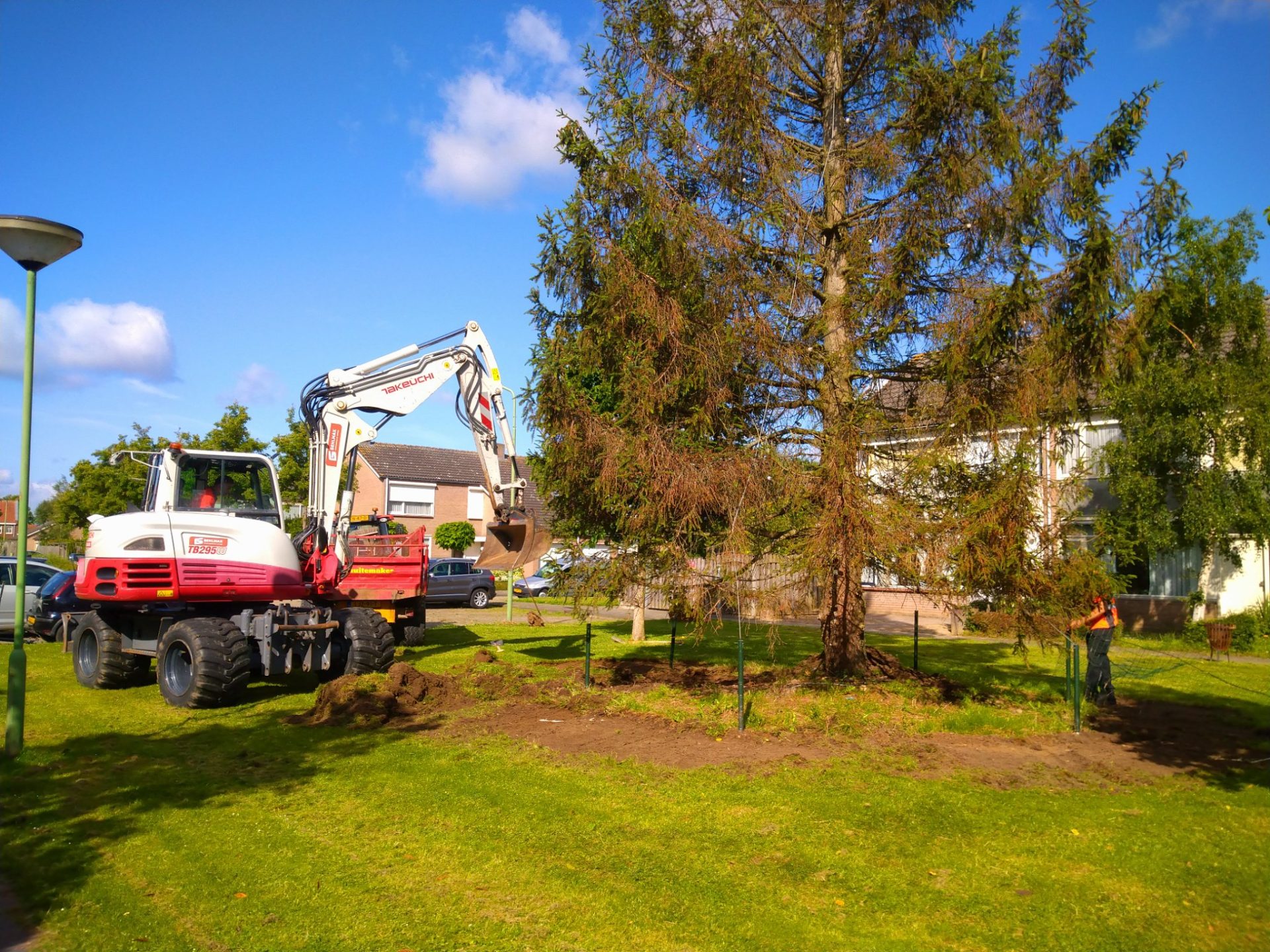 Pas komend voorjaar duidelijk of monumentale boom in Hank het gaat redden