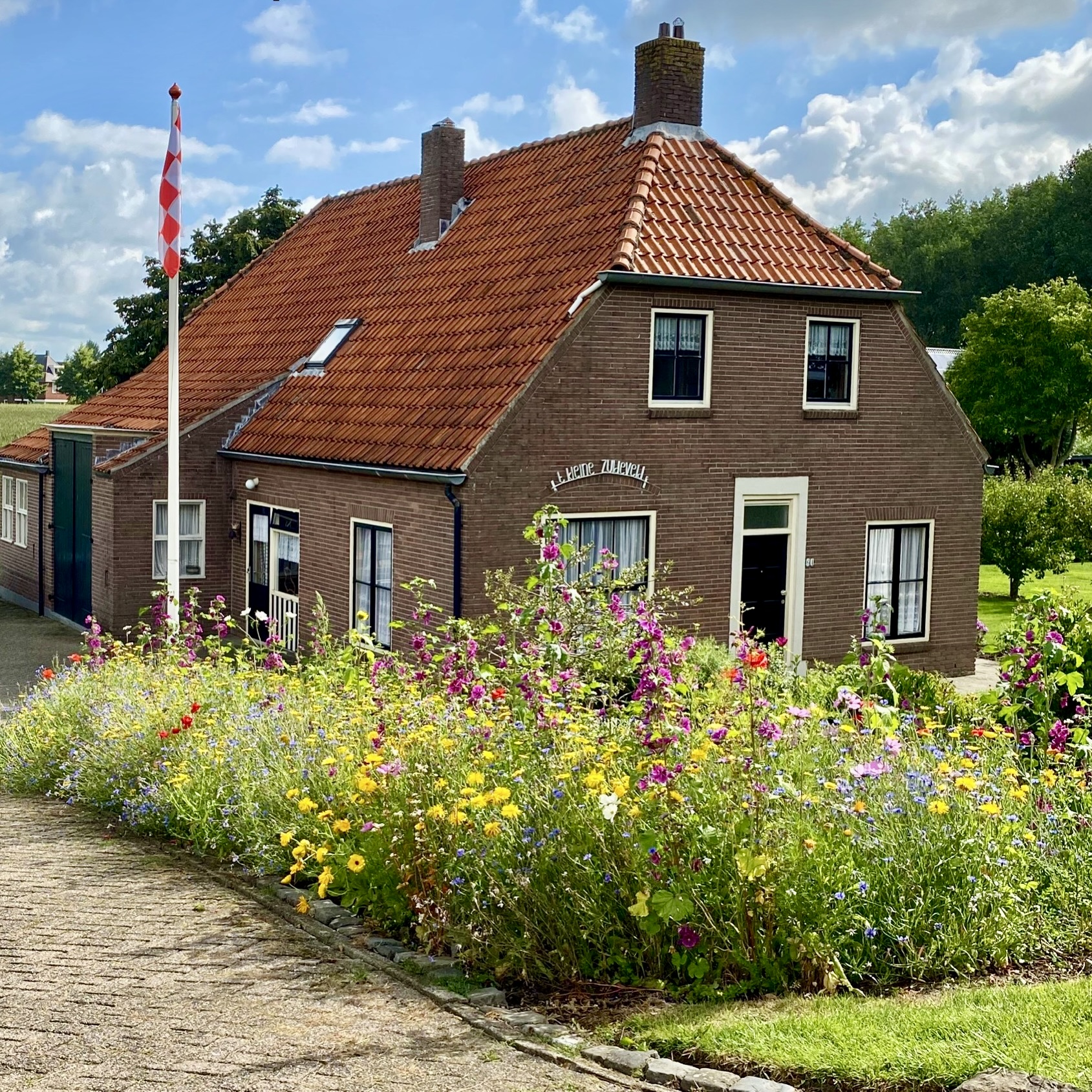 Fotowedstrijd ANV Bloemenzaad uitdeelactie